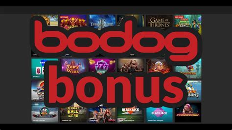 Bodog casino aplicação